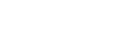 NZFA logo white transparent background
